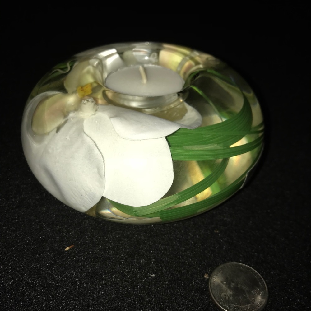 Phalae Nopsi by Emilio Robba. Orchid in glass.